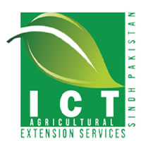Directorate Information Technology Services